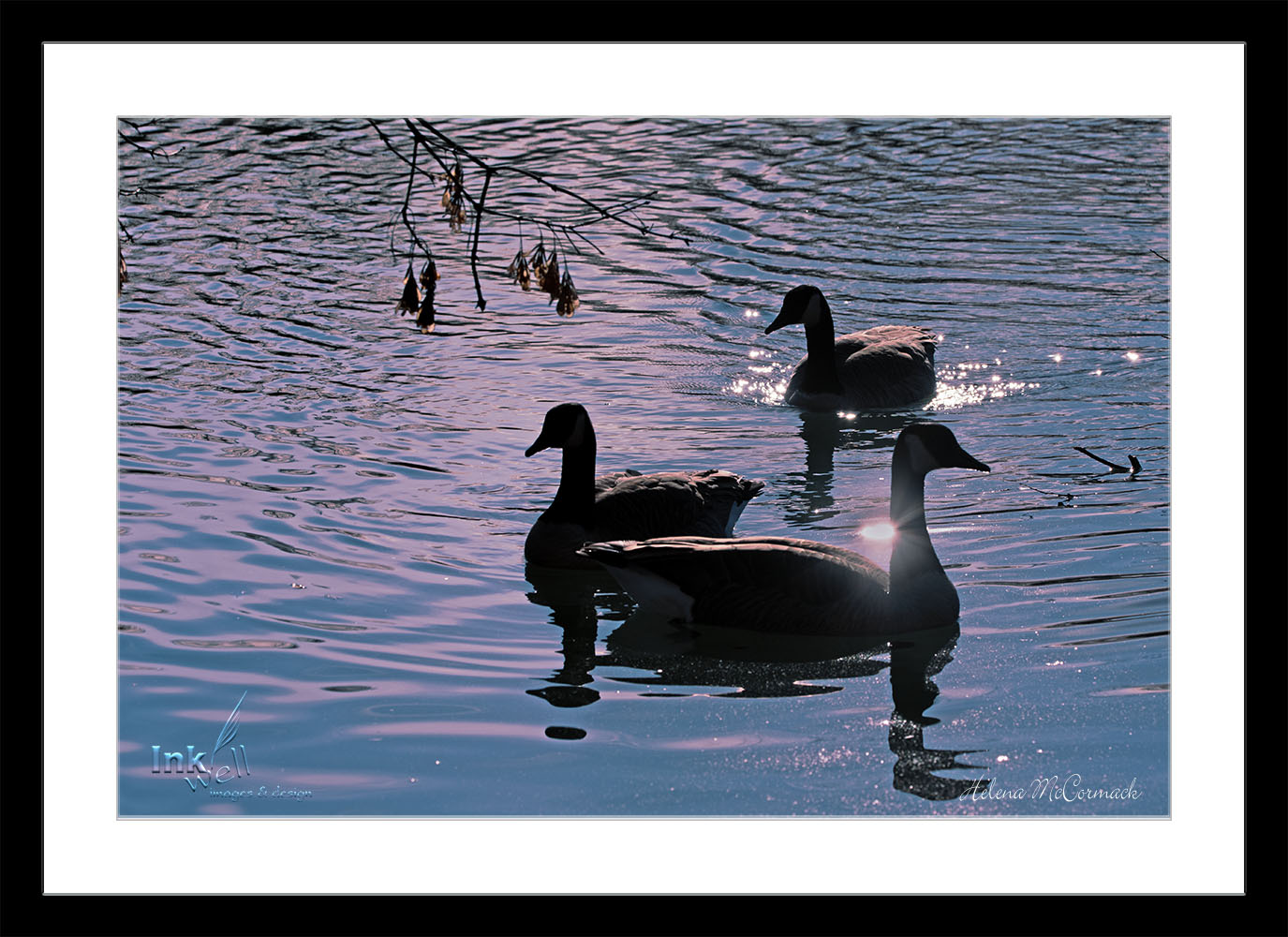Art prints-birds, Geese at Sunset